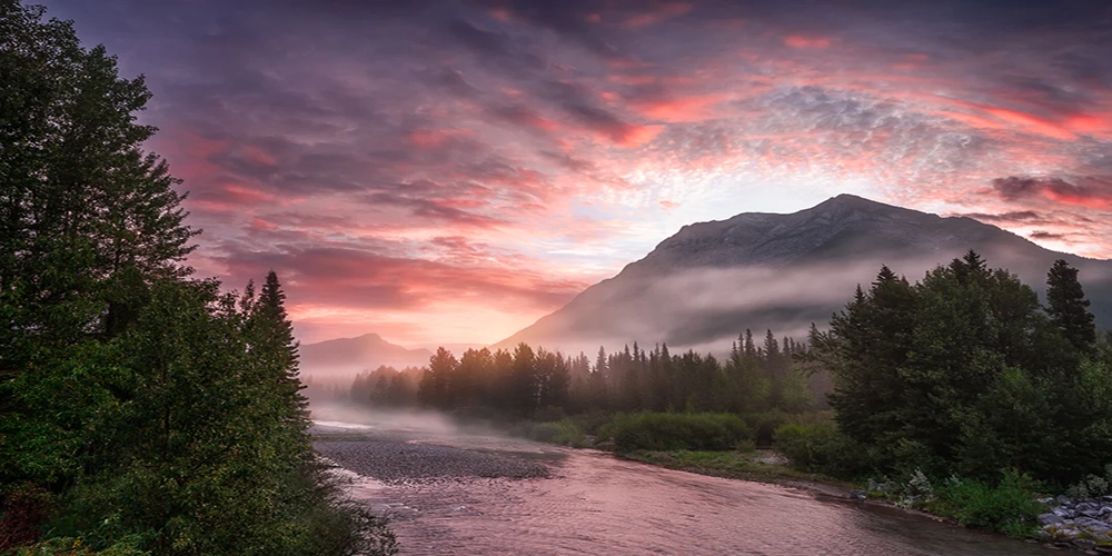Gartenapéro in Schneisingen
