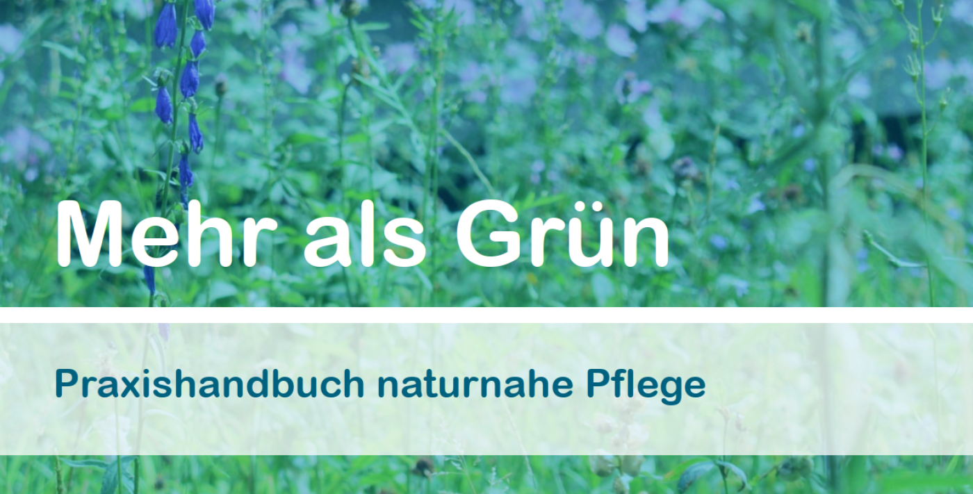 Vier Freiämter NATUR FINDET STADT - Dörfer im Portrait der AZ