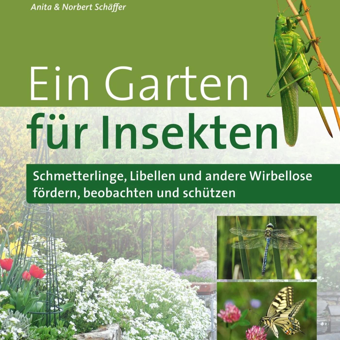 Ein Garten für Insekten