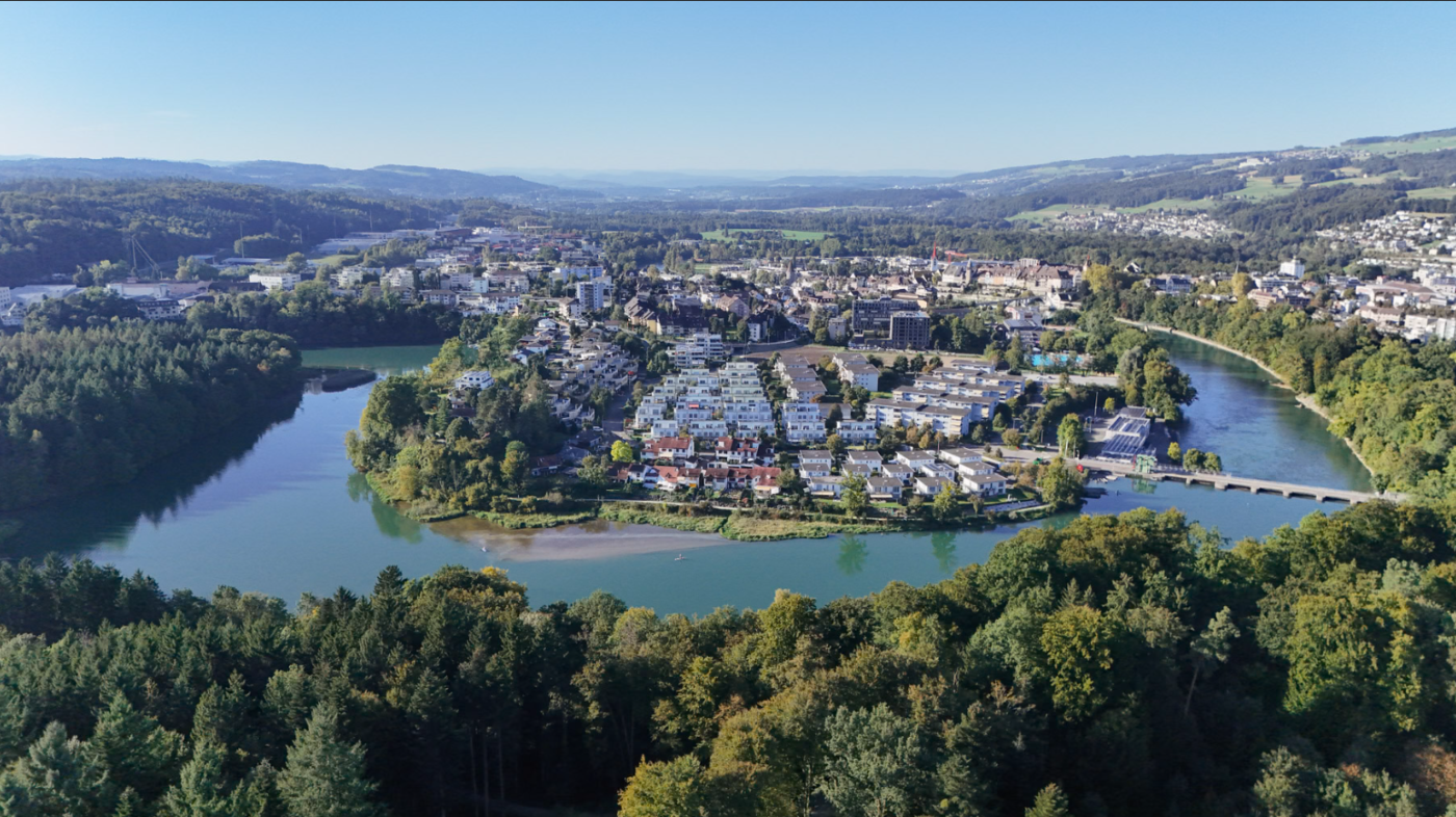 In Aarau blühen die Stauden
